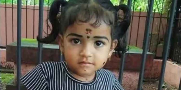 തൃശൂരിൽ വെള്ളക്കെട്ടിൽ വീണ് രണ്ടര വയസുകാരിക്ക് ദാരൂണാന്ത്യം തൃശൂരിൽ വെള്ളക്കെട്ടിൽ വീണ് രണ്ടര വയസുകാരിക്ക് ദാരൂണാന്ത്യം