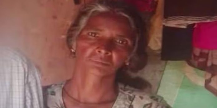 വടക്കഞ്ചേരിയില് പാടത്ത് ജോലിക്കിടെ തെങ്ങുവീണ് വീട്ടമ്മ മരിച്ചു വടക്കഞ്ചേരിയില് പാടത്ത് ജോലിക്കിടെ തെങ്ങുവീണ് വീട്ടമ്മ മരിച്ചു