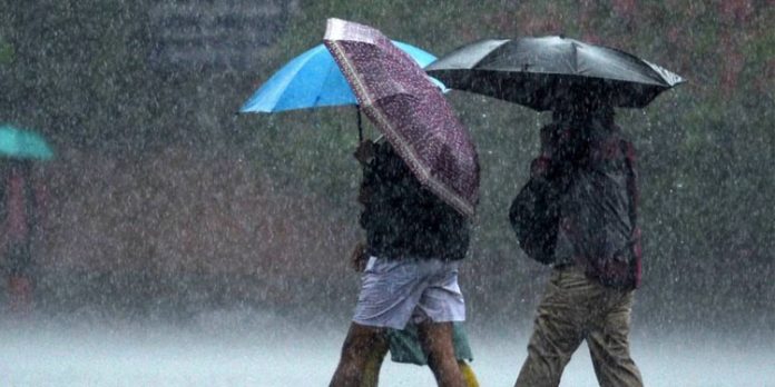 ശക്തമായ മഴക്ക് സാധ്യത ; മൂന്ന് ജില്ലകളിൽ നാളെ വിദ്യാഭ്യാസ സ്ഥാപനങ്ങൾക്ക് അവധി ശക്തമായ മഴക്ക് സാധ്യത ; മൂന്ന് ജില്ലകളിൽ നാളെ വിദ്യാഭ്യാസ സ്ഥാപനങ്ങൾക്ക് അവധി