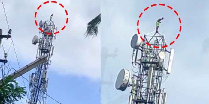 ലഹരി കിട്ടിയില്ല ; ടവറിന് മുകളില് കയറി ആത്മഹത്യ ശ്രമവുമായി യുവാവ് ലഹരി കിട്ടിയില്ല ; ടവറിന് മുകളില് കയറി ആത്മഹത്യ ശ്രമവുമായി യുവാവ്