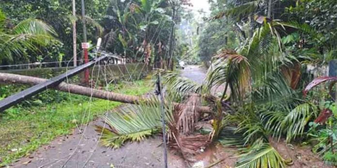 ആളൂരിൽ മിന്നൽ ചുഴലി ; തൃക്കൂരില് നേരിയ ഭൂചലനം ആളൂരിൽ മിന്നൽ ചുഴലി ; തൃക്കൂരില് നേരിയ ഭൂചലനം