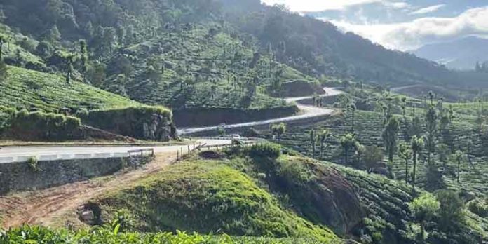 വന്യമൃഗങ്ങൾക്ക് കടന്ന് റോഡ് മുറിച്ചു കടക്കാനുള്ള “അണ്ടർ പാസ് ” പദ്ധതി ഇഴയുന്നു വന്യമൃഗങ്ങൾക്ക് കടന്ന് റോഡ് മുറിച്ചു കടക്കാനുള്ള “അണ്ടർ പാസ് ” പദ്ധതി ഇഴയുന്നു
