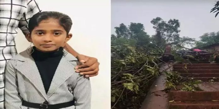 സ്കൂൾ പരിസരത്തുനിന്ന മരം വീണ് ആറാം ക്ലാസുകാരിക്ക് ദാരുണാന്ത്യം സ്കൂൾ പരിസരത്തുനിന്ന മരം വീണ് ആറാം ക്ലാസുകാരിക്ക് ദാരുണാന്ത്യം