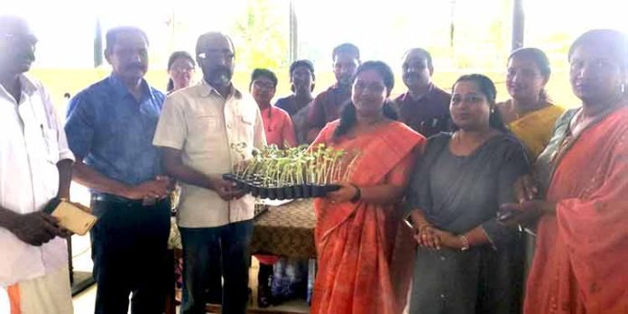 അടൂർ നഗരസഭയുടെ ആഭിമുഖ്യത്തിൽ ഞാറ്റുവേല ചന്ത സംഘടിപ്പിച്ചു അടൂർ നഗരസഭയുടെ ആഭിമുഖ്യത്തിൽ ഞാറ്റുവേല ചന്ത സംഘടിപ്പിച്ചു