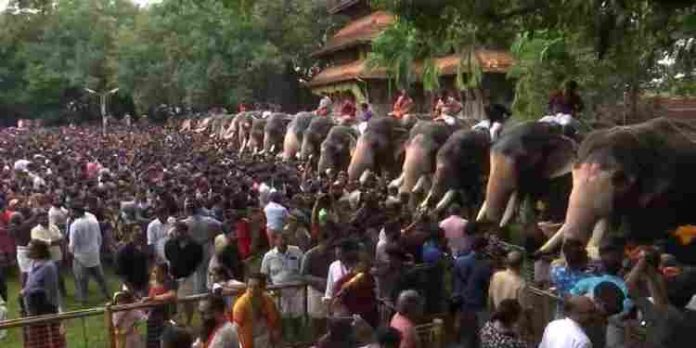 നിരനിരയായ അറുപത് ആനകള് ; വടക്കുംനാഥന്റെ മണ്ണില് ആനയൂട്ട് നിരനിരയായ അറുപത് ആനകള് ; വടക്കുംനാഥന്റെ മണ്ണില് ആനയൂട്ട്