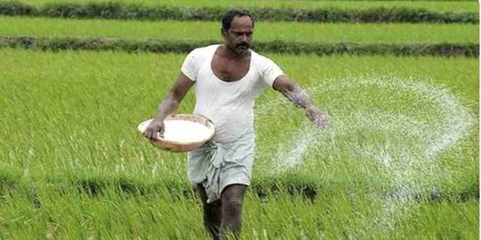 കർഷക ദിനത്തോടനുബന്ധിച്ച് പഞ്ചായത്തിലെ പ്രമുഖ കർഷകരെ ആദരിക്കുന്നു കർഷക ദിനത്തോടനുബന്ധിച്ച് പഞ്ചായത്തിലെ പ്രമുഖ കർഷകരെ ആദരിക്കുന്നു