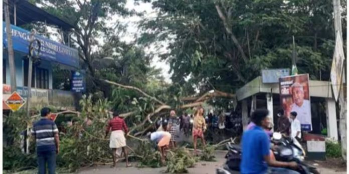 സംസ്ഥാനപാതയില് മരം ഒടിഞ്ഞുവീണ് ഗതാഗതം തടസ്സപ്പെട്ടു സംസ്ഥാനപാതയില് മരം ഒടിഞ്ഞുവീണ് ഗതാഗതം തടസ്സപ്പെട്ടു