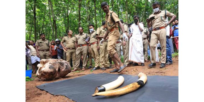 തൃശൂരിൽ ആനയെ കൊന്ന് കുഴിച്ചിട്ട സംഭവം : ഒന്നാം പ്രതിയായ സ്ഥലമുടമ കീഴടങ്ങി തൃശൂരിൽ ആനയെ കൊന്ന് കുഴിച്ചിട്ട സംഭവം : ഒന്നാം പ്രതിയായ സ്ഥലമുടമ കീഴടങ്ങി