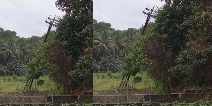 ചരിഞ്ഞു നിൽക്കുന്ന വൈദുതി പോസ്റ്റുകൾ അപകട ഭീഷണിയാകുന്നു ചരിഞ്ഞു നിൽക്കുന്ന വൈദുതി പോസ്റ്റുകൾ അപകട ഭീഷണിയാകുന്നു