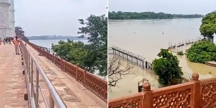 യമുന നദി ഉയർന്ന് താജ്മഹലിൻ്റെ ഭിത്തി നനച്ചു ; അര നൂറ്റാണ്ടിനിടെ ആദ്യം യമുന നദി ഉയർന്ന് താജ്മഹലിൻ്റെ ഭിത്തി നനച്ചു ; അര നൂറ്റാണ്ടിനിടെ ആദ്യം
