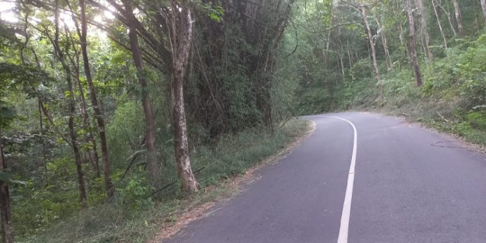 ചെത്തോങ്കര-അത്തിക്കയം റോഡിൽ യാത്രക്കാര്ക്ക് ഭീഷണിയായ മുളം ചില്ലകൾ അധികൃതര് മുറിച്ചു മാറ്റി ചെത്തോങ്കര-അത്തിക്കയം റോഡിൽ യാത്രക്കാര്ക്ക് ഭീഷണിയായ മുളം ചില്ലകൾ അധികൃതര് മുറിച്ചു മാറ്റി