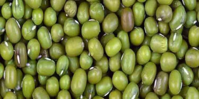 ചെറുപയര് കൃഷി ചെയ്താലോ ഇനി.. ? ചെറുപയര് കൃഷി ചെയ്താലോ ഇനി.. ?