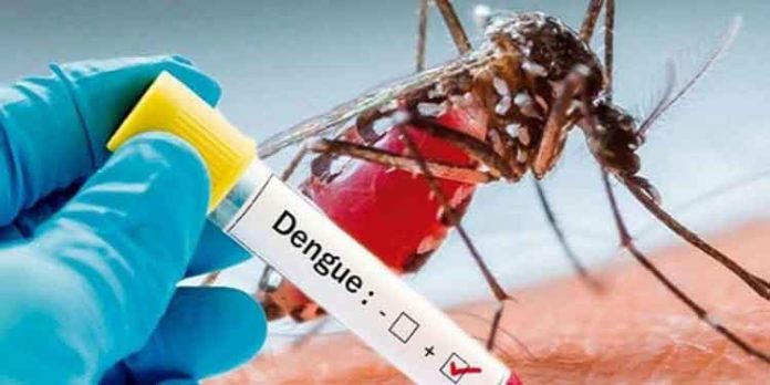സംസ്ഥാനത്ത് ഡെങ്കിപ്പനി വ്യാപിക്കുന്നു ; കഴിഞ്ഞ ദിവസം സ്ഥിരീകരിച്ചത് 111 പേർക്ക് സംസ്ഥാനത്ത് ഡെങ്കിപ്പനി വ്യാപിക്കുന്നു ; കഴിഞ്ഞ ദിവസം സ്ഥിരീകരിച്ചത് 111 പേർക്ക്