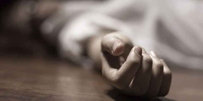 കള്ള് കുടിച്ചിറങ്ങിയ കൊല്ലം സ്വദേശി ഷാപ്പിന് മുന്നിൽ മരിച്ച നിലയിൽ കള്ള് കുടിച്ചിറങ്ങിയ കൊല്ലം സ്വദേശി ഷാപ്പിന് മുന്നിൽ മരിച്ച നിലയിൽ