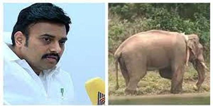 അരിക്കൊമ്പനുമേൽ കേരളത്തിനും തമിഴ്നാടിനും തുല്യ അവകാശം; തമിഴ്നാട് മന്ത്രി അരിക്കൊമ്പനുമേൽ കേരളത്തിനും തമിഴ്നാടിനും തുല്യ അവകാശം; തമിഴ്നാട് മന്ത്രി