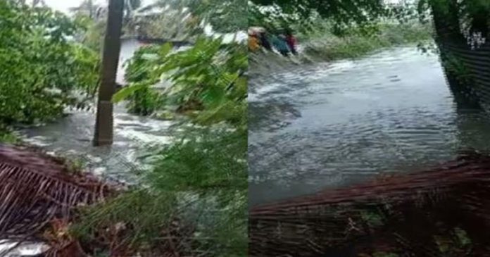 കനത്ത മഴ തുടരുന്നു ; കണ്ണമാലി പ്രദേശത്ത് കടലാക്രമണം രൂക്ഷം , വീടുകളില് വെള്ളം കയറി കനത്ത മഴ തുടരുന്നു ; കണ്ണമാലി പ്രദേശത്ത് കടലാക്രമണം രൂക്ഷം , വീടുകളില് വെള്ളം കയറി