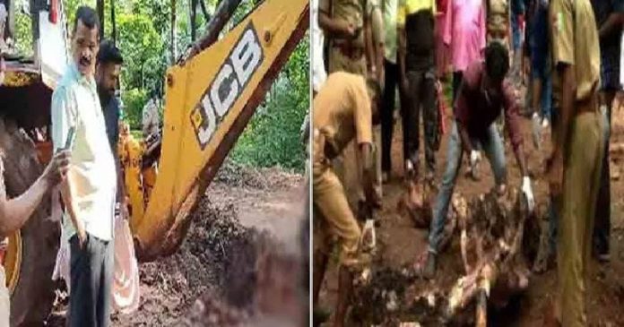 വാഴക്കോട് കാട്ടാനയെ ഒരുകൊമ്പ് മുറിച്ച് കുഴിച്ചിട്ട സംഭവത്തില് കേന്ദ്ര അന്വേഷണം വാഴക്കോട് കാട്ടാനയെ ഒരുകൊമ്പ് മുറിച്ച് കുഴിച്ചിട്ട സംഭവത്തില് കേന്ദ്ര അന്വേഷണം