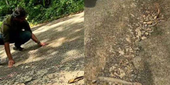 പൊതുമരാമത്ത് വകുപ്പ് ലക്ഷങ്ങൾ മുടക്കി അറ്റകുറ്റപ്പണികൾ നടത്തിയ 5 റോഡുകൾ തകർന്നു തുടങ്ങി പൊതുമരാമത്ത് വകുപ്പ് ലക്ഷങ്ങൾ മുടക്കി അറ്റകുറ്റപ്പണികൾ നടത്തിയ 5 റോഡുകൾ തകർന്നു തുടങ്ങി