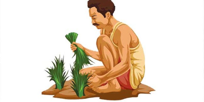 ചെന്നീര്ക്കര ഗ്രാമപഞ്ചായത്തിൽ കര്ഷക ദിനാചരണം നടത്തി ചെന്നീര്ക്കര ഗ്രാമപഞ്ചായത്തിൽ കര്ഷക ദിനാചരണം നടത്തി