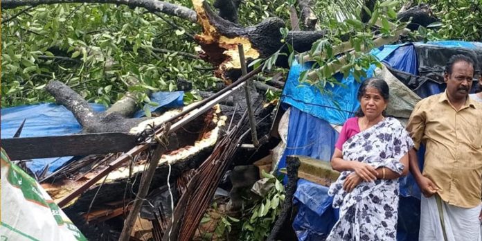 ശക്തമായ കാറ്റിലും മഴയിലും വീട് തകർന്നു ശക്തമായ കാറ്റിലും മഴയിലും വീട് തകർന്നു