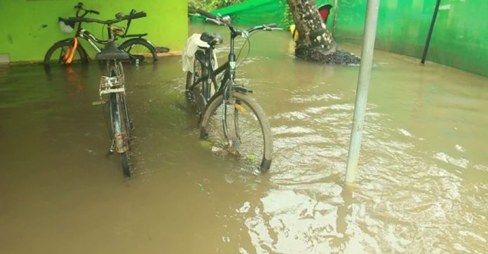 കോട്ടയം അയ്മനത്ത് വെള്ളക്കെട്ടില് വീണ് വയോധികന് മരിച്ചു കോട്ടയം അയ്മനത്ത് വെള്ളക്കെട്ടില് വീണ് വയോധികന് മരിച്ചു
