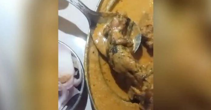 ചിക്കന് കറിയില് ചത്ത എലി ; ചിത്രങ്ങളും വിഡിയോയും ട്വിറ്ററില് ; ഞെട്ടല് ചിക്കന് കറിയില് ചത്ത എലി ; ചിത്രങ്ങളും വിഡിയോയും ട്വിറ്ററില് ; ഞെട്ടല്
