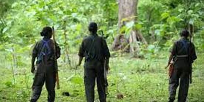തോക്കേന്തിയ പ്രകടനവുമായി മാവോയിസ്റ്റുകൾ ; സംഘത്തിലുണ്ടായിരുന്നത് ഒരു വനിത ഉൾപ്പെടെ അഞ്ചുപേർ തോക്കേന്തിയ പ്രകടനവുമായി മാവോയിസ്റ്റുകൾ ; സംഘത്തിലുണ്ടായിരുന്നത് ഒരു വനിത ഉൾപ്പെടെ അഞ്ചുപേർ