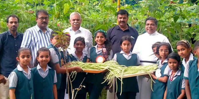 പച്ചക്കറിത്തോട്ടത്തിൽ നൂറുമേനി കൊയ്തെടുത്ത ആവേശത്തിൽ കുട്ടിക്കർഷകർ പച്ചക്കറിത്തോട്ടത്തിൽ നൂറുമേനി കൊയ്തെടുത്ത ആവേശത്തിൽ കുട്ടിക്കർഷകർ