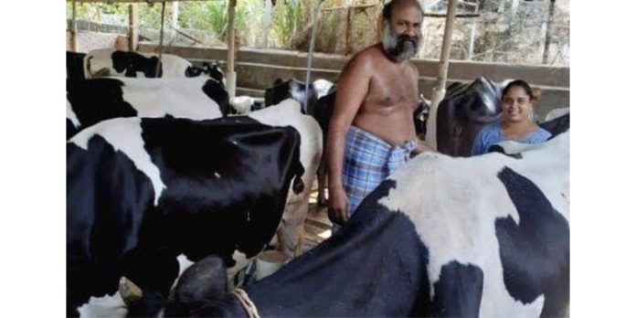 അപ്പർകുട്ടനാട്ടിൽ വെള്ളപ്പൊക്കം ; ക്ഷീരകർഷകർ പ്രതിസന്ധിയിൽ അപ്പർകുട്ടനാട്ടിൽ വെള്ളപ്പൊക്കം ; ക്ഷീരകർഷകർ പ്രതിസന്ധിയിൽ