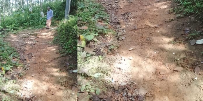 കാറ്റാടി വലിയതറ അംഗൻവാടിപ്പടി – പുതുവേലിൽപ്പടി മൺപാത ഗതാഗത യോഗ്യമാക്കണമെന്ന് സിപിഐ കാറ്റാടി വലിയതറ അംഗൻവാടിപ്പടി – പുതുവേലിൽപ്പടി മൺപാത ഗതാഗത യോഗ്യമാക്കണമെന്ന് സിപിഐ