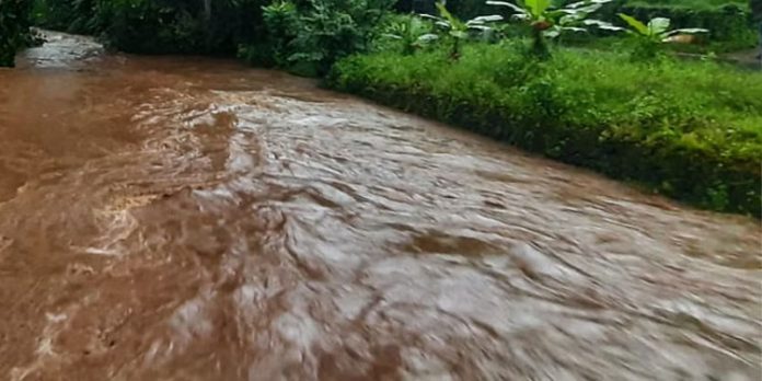 മഴ ശമിച്ചെങ്കിലും ദുരിതമൊഴിയാതെ തിരുവൻവണ്ടൂർ പഞ്ചായത്ത് മഴ ശമിച്ചെങ്കിലും ദുരിതമൊഴിയാതെ തിരുവൻവണ്ടൂർ പഞ്ചായത്ത്