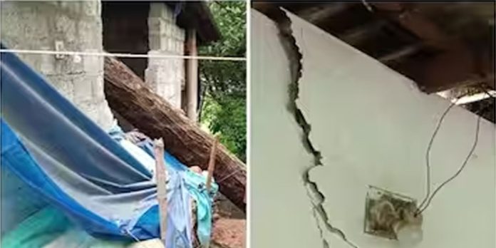 പാലക്കാട് കനത്ത മഴയില് വീടിന് മുകളിലേക്ക് മരം വീണു ; ഒരാൾക്ക് പരിക്കേറ്റു പാലക്കാട് കനത്ത മഴയില് വീടിന് മുകളിലേക്ക് മരം വീണു ; ഒരാൾക്ക് പരിക്കേറ്റു