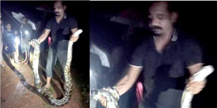 പെരുമ്പാമ്പിനെ സാഹസികമായി പിടികൂടി നാട്ടുകാരുടെ രക്ഷക്കെത്തിയ യുവാവിന് “മലര്വാടി വോയ്സ് ” സമൂഹ മാധ്യമ കൂട്ടായ്മ സ്വീകരണം ഒരുക്കുന്നു പെരുമ്പാമ്പിനെ സാഹസികമായി പിടികൂടി നാട്ടുകാരുടെ രക്ഷക്കെത്തിയ യുവാവിന് “മലര്വാടി വോയ്സ് ” സമൂഹ മാധ്യമ കൂട്ടായ്മ സ്വീകരണം ഒരുക്കുന്നു