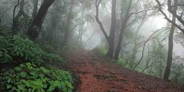 വെറും രണ്ടായിരം രൂപയ്ക്ക് മഴക്കാലത്തെ മതേരാൻ കാണാം ; കോടമഞ്ഞും നൂൽമഴയും നനയാം വെറും രണ്ടായിരം രൂപയ്ക്ക് മഴക്കാലത്തെ മതേരാൻ കാണാം ; കോടമഞ്ഞും നൂൽമഴയും നനയാം