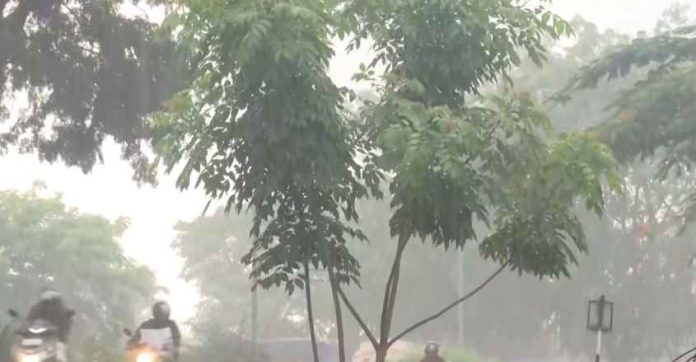 വരും മണിക്കൂറുകളില് ജില്ലയിൽ അതിശക്തമായ മഴയ്ക്ക് സാധ്യത വരും മണിക്കൂറുകളില് ജില്ലയിൽ അതിശക്തമായ മഴയ്ക്ക് സാധ്യത