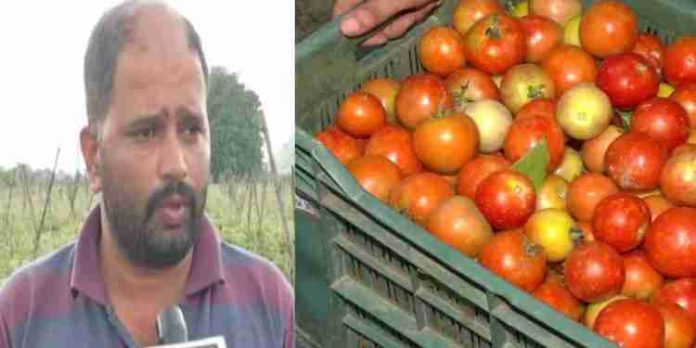 തക്കാളി വിറ്റു ; കര്ഷകന് കിട്ടിയത് 2.8 കോടി ; ഇനി 4,000 കൊട്ട ബാക്കി ; ലക്ഷ്യം 3.5കോടി തക്കാളി വിറ്റു ; കര്ഷകന് കിട്ടിയത് 2.8 കോടി ; ഇനി 4,000 കൊട്ട ബാക്കി ; ലക്ഷ്യം 3.5കോടി