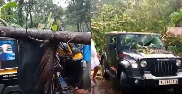 ഓടുന്ന ജീപ്പിനു മുകളില് മരം വീണു ; യാത്രക്കാര്ക്ക് പരുക്ക് ; വടകരയില് ഓട്ടോയ്ക്ക് മുകളിൽ മരം വീണു ഓടുന്ന ജീപ്പിനു മുകളില് മരം വീണു ; യാത്രക്കാര്ക്ക് പരുക്ക് ; വടകരയില് ഓട്ടോയ്ക്ക് മുകളിൽ മരം വീണു