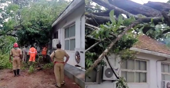 വി.ഡി.സതീശന്റെ വസതിക്ക് മുകളില് മരം വീണു ; ആര്ക്കും പരുക്കില്ല വി.ഡി.സതീശന്റെ വസതിക്ക് മുകളില് മരം വീണു ; ആര്ക്കും പരുക്കില്ല