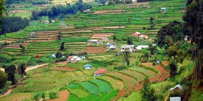 വട്ടവടയിലെ കൃഷിക്കാഴ്ചകൾ കാണാന് പോകാം വട്ടവടയിലെ കൃഷിക്കാഴ്ചകൾ കാണാന് പോകാം