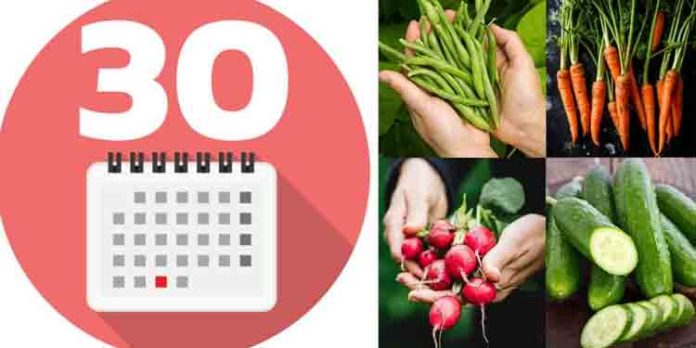30 ദിവസത്തിനുള്ളിൽ വീട്ടുവളപ്പിൽ വിളയിച്ചെടുക്കാവുന്ന 7 പച്ചക്കറികൾ ഇതാ.. 30 ദിവസത്തിനുള്ളിൽ വീട്ടുവളപ്പിൽ വിളയിച്ചെടുക്കാവുന്ന 7 പച്ചക്കറികൾ ഇതാ..