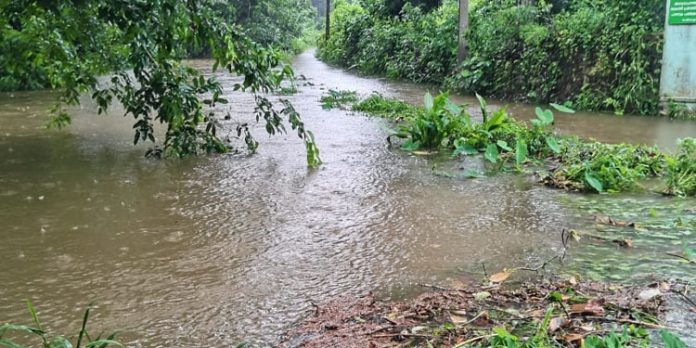കനത്ത മഴ ; തോടുകള് കരകവിഞ്ഞ് റോഡില് വെള്ളം കയറി – ദുരിതത്തിലായി നാട്ടുകാര് കനത്ത മഴ ; തോടുകള് കരകവിഞ്ഞ് റോഡില് വെള്ളം കയറി – ദുരിതത്തിലായി നാട്ടുകാര്