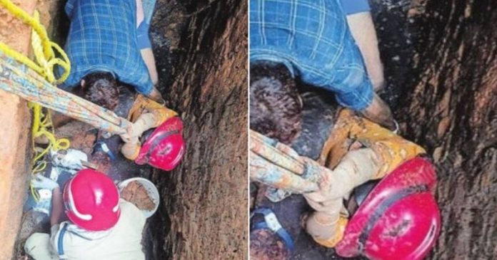 മുറ്റമടിക്കുന്നതിനിടെ സ്ലാബ് പൊട്ടി മാലിന്യക്കുഴിയിൽ വീണു ; യുവതിക്ക് രക്ഷകരായി ഫയർഫോഴ്സ് മുറ്റമടിക്കുന്നതിനിടെ സ്ലാബ് പൊട്ടി മാലിന്യക്കുഴിയിൽ വീണു ; യുവതിക്ക് രക്ഷകരായി ഫയർഫോഴ്സ്