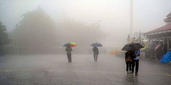 അതിശക്ത മഴയും റെഡ് അലര്ട്ടും ; കണ്ണൂര് ജില്ലയിലെ വിദ്യാഭ്യാസ സ്ഥാപനങ്ങള്ക്ക് അവധി അതിശക്ത മഴയും റെഡ് അലര്ട്ടും ; കണ്ണൂര് ജില്ലയിലെ വിദ്യാഭ്യാസ സ്ഥാപനങ്ങള്ക്ക് അവധി