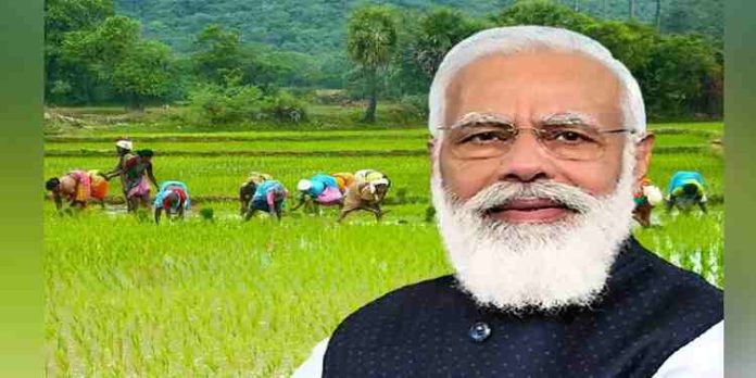 ഇനി വളം ചാക്കുകളിൽ പ്രധാനമന്ത്രിയുടെ ചിത്രവും സന്ദേശവും ഇനി വളം ചാക്കുകളിൽ പ്രധാനമന്ത്രിയുടെ ചിത്രവും സന്ദേശവും