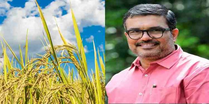 ഓണത്തിന് മുൻപ് കർഷകർക്ക് നെല്ലുവില പൂർണമായും നൽകുമെന്ന മന്ത്രിമാരുടെ വാക്ക് പാഴായി ഓണത്തിന് മുൻപ് കർഷകർക്ക് നെല്ലുവില പൂർണമായും നൽകുമെന്ന മന്ത്രിമാരുടെ വാക്ക് പാഴായി
