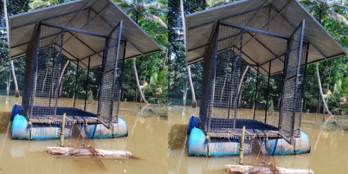 സ്റ്റാന്ലി ബേബിയുടെ കൃഷിയിടം കൃഷി വിജ്ഞാന കേന്ദ്രം ശാസ്ത്ര സംഘം സന്ദര്ശിച്ചു സ്റ്റാന്ലി ബേബിയുടെ കൃഷിയിടം കൃഷി വിജ്ഞാന കേന്ദ്രം ശാസ്ത്ര സംഘം സന്ദര്ശിച്ചു