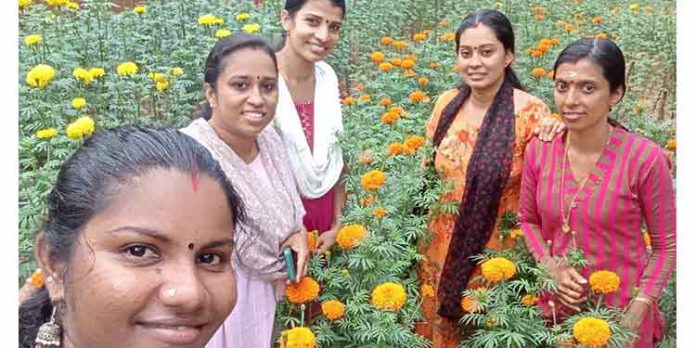ഓണത്തെ വരവേല്ക്കാന് ബന്ദിപ്പൂ പാടമൊരുക്കി അരുവാപ്പുലം പഞ്ചായത്തും കൃഷി ഭവനും ഓണത്തെ വരവേല്ക്കാന് ബന്ദിപ്പൂ പാടമൊരുക്കി അരുവാപ്പുലം പഞ്ചായത്തും കൃഷി ഭവനും