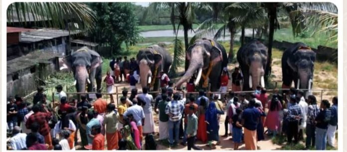 പ്രത്യക്ഷ ഗണപതി പൂജയും ആനയൂട്ടും നടത്തി പ്രത്യക്ഷ ഗണപതി പൂജയും ആനയൂട്ടും നടത്തി