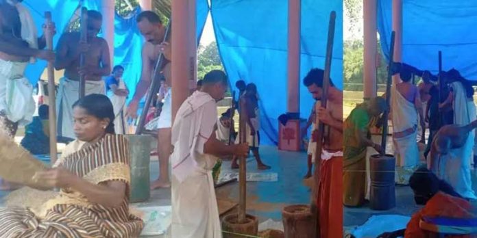 തിരുവോണസദ്യക്കുള്ള നെല്ല് കുത്ത് ഇന്ന് സമാപിക്കും തിരുവോണസദ്യക്കുള്ള നെല്ല് കുത്ത് ഇന്ന് സമാപിക്കും