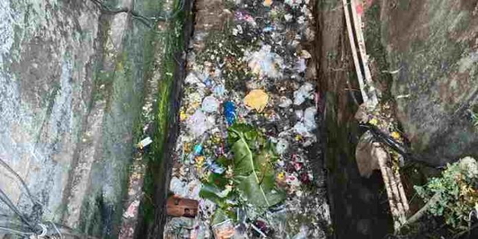 ഇട്ടിയപ്പാറ ടൗണിലെ തോട്ടിൽ മാലിന്യം തള്ളുന്നവർക്കെതിരെ അധികൃതർ നടപടി സ്വീകരിക്കുന്നില്ലെന്ന ആരോപണവുമായി വ്യാപാരികൾ ഇട്ടിയപ്പാറ ടൗണിലെ തോട്ടിൽ മാലിന്യം തള്ളുന്നവർക്കെതിരെ അധികൃതർ നടപടി സ്വീകരിക്കുന്നില്ലെന്ന ആരോപണവുമായി വ്യാപാരികൾ